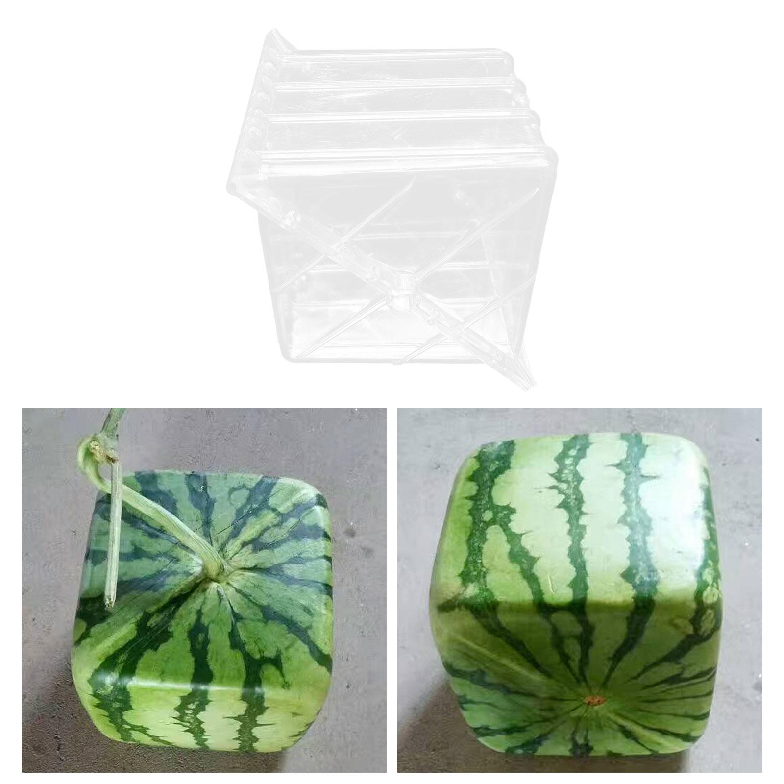 Gardening Tools Unique - Square Watermelon Growth Mould Unique Practical