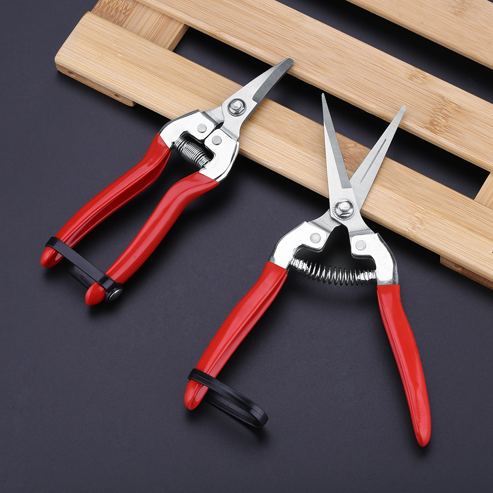Sturdy Fruit Tree Bonsai Garde - đánh giá và giá Gardening Tools For Women