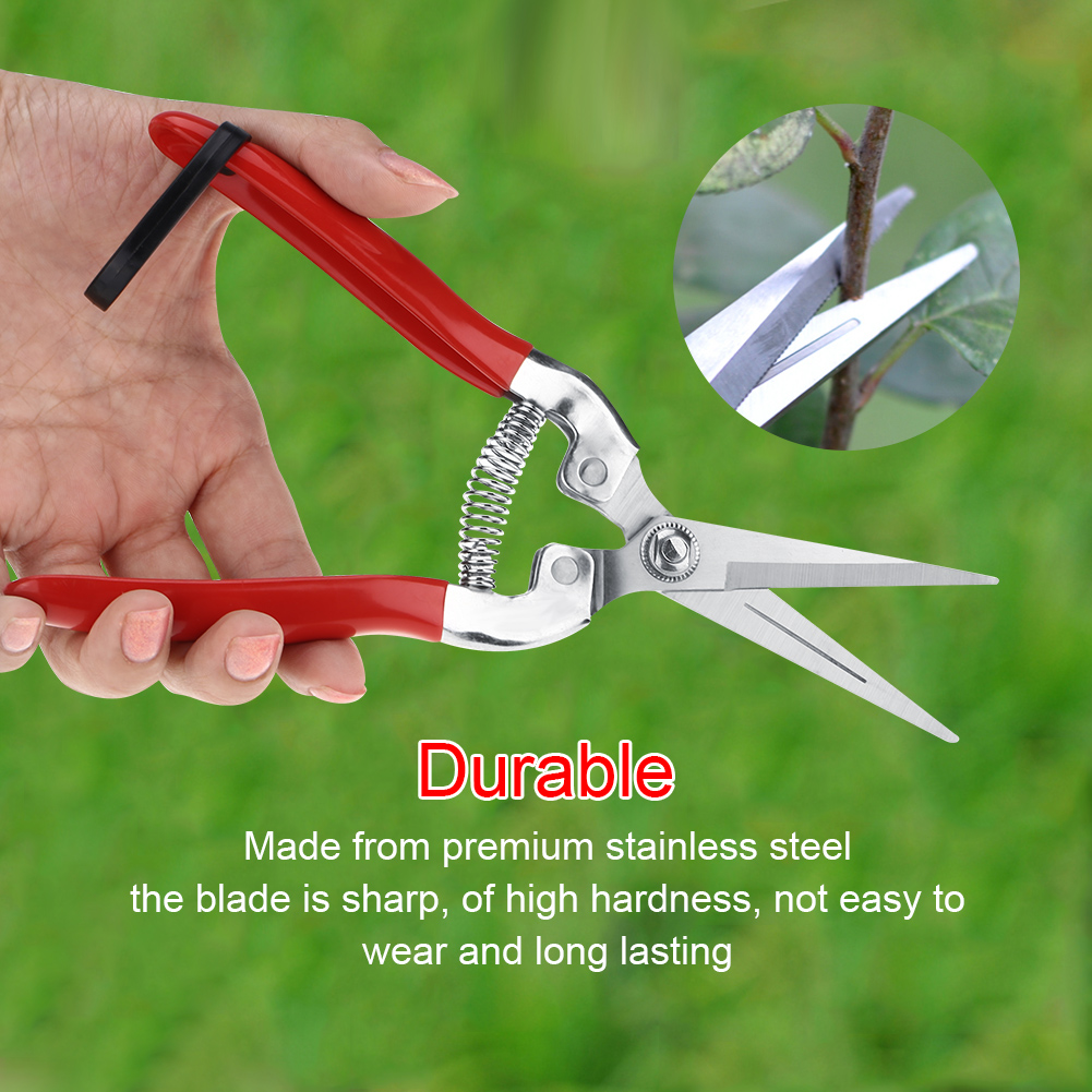 Sturdy Fruit Tree Bonsai Garde - đánh giá và giá Gardening Tools For Women
