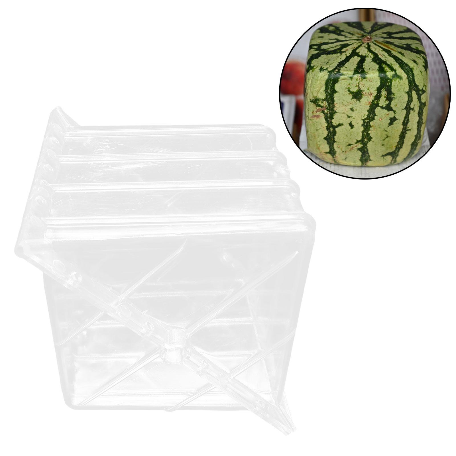 Square Watermelon Growth Mould - đánh giá và giá Gardening Tools Unique