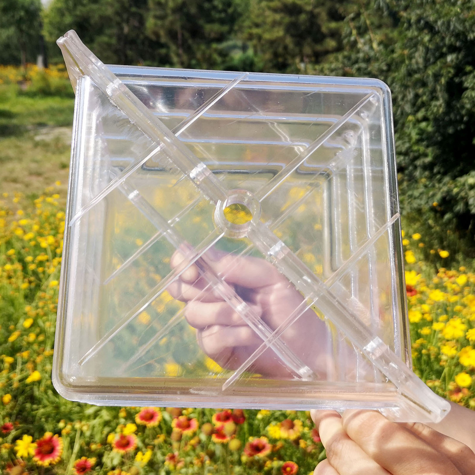 Square Watermelon Growth Mould - đánh giá và giá Gardening Tools Unique