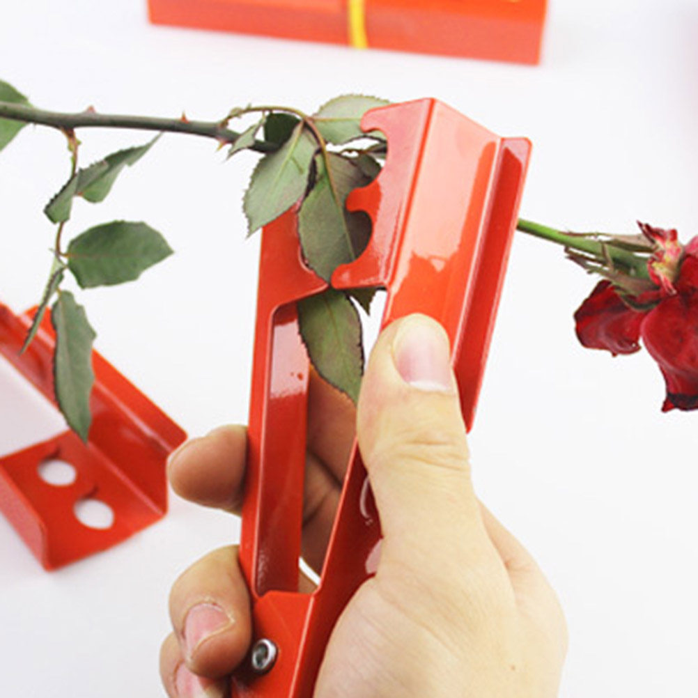Rose Thorn Pliers Unique Desig - đánh giá và giá Gardening Tools Unique