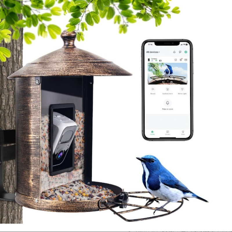 AI intelligent bird feeder wit - đánh giá và giá Gardening Tools Definition