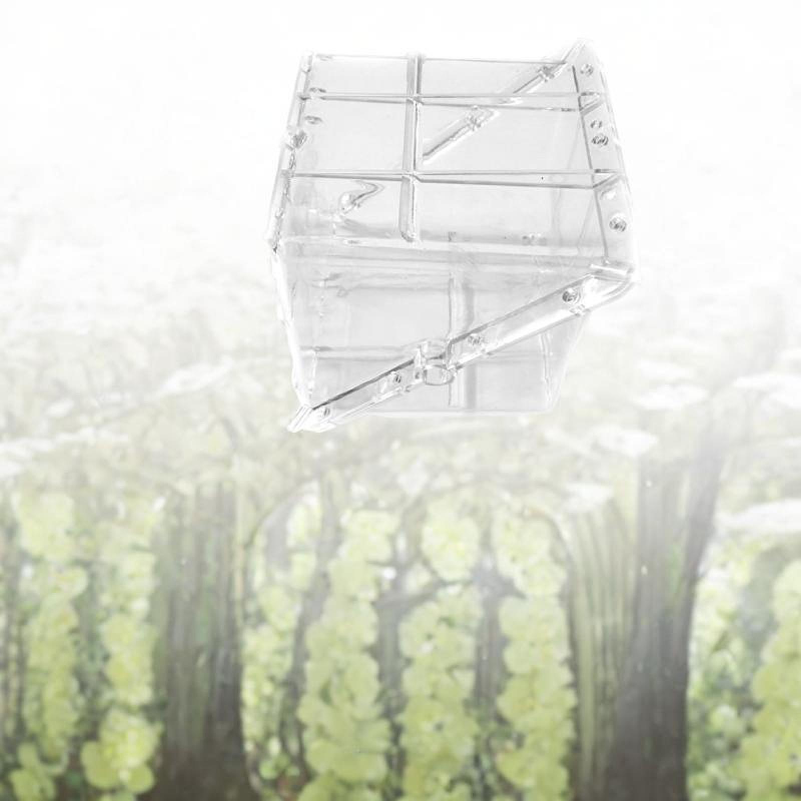 Square Watermelon Growth Mold  - đánh giá và giá Gardening Tools Unique