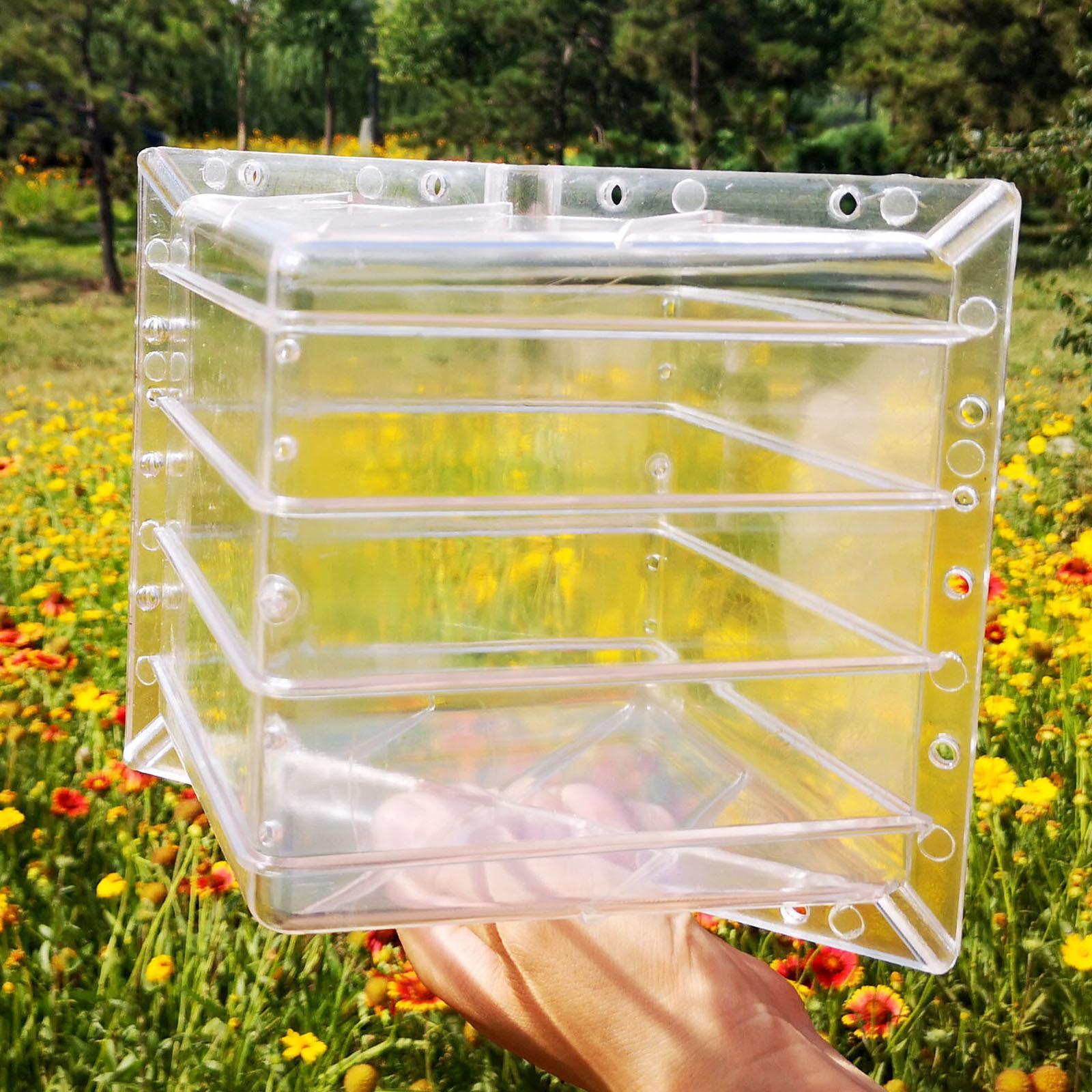 Square Watermelon Growth Mold  - đánh giá và giá Gardening Tools Unique